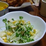 香味野菜好きにはたまらないカイワレとセロリのサラダ